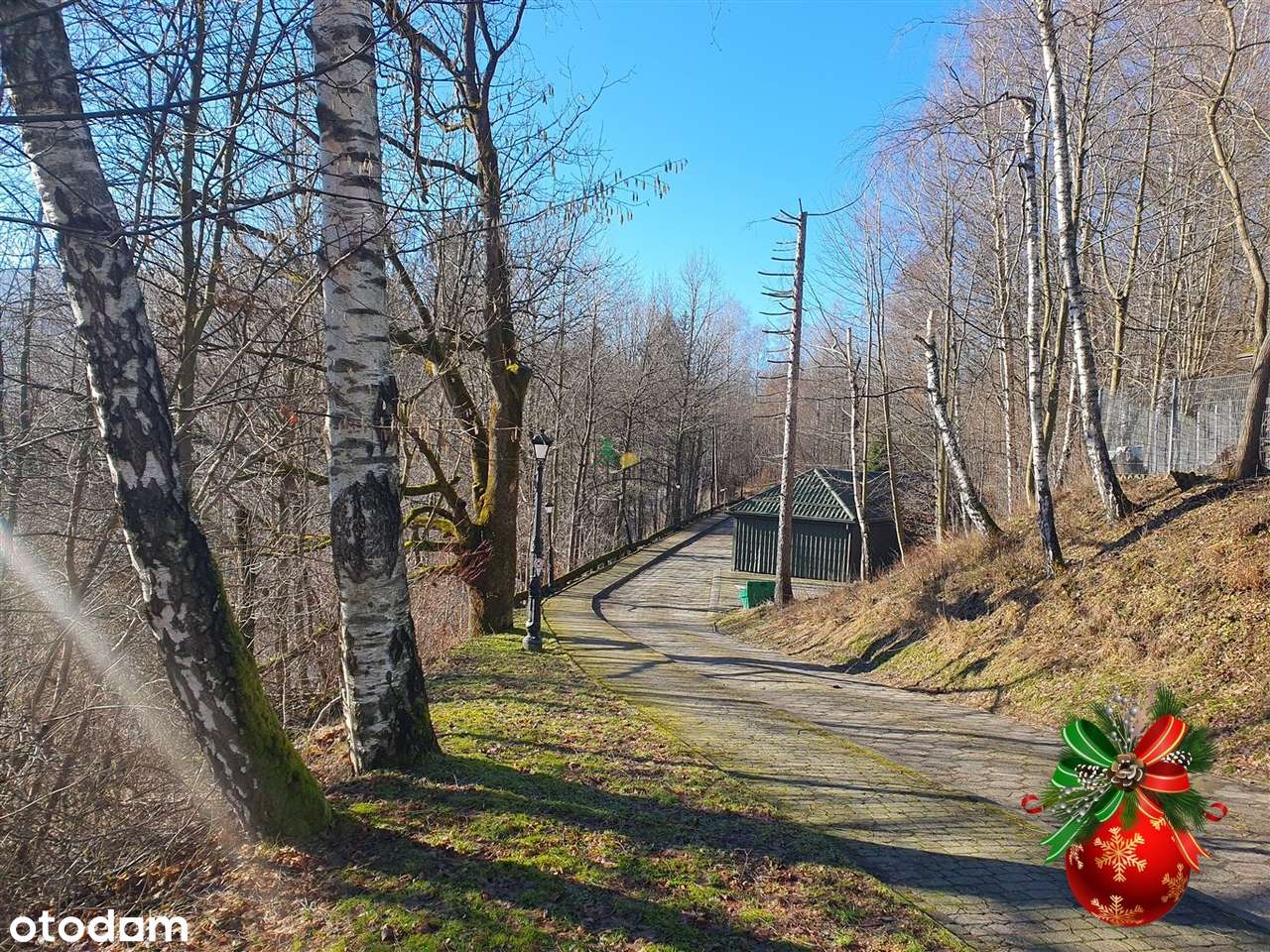 Apartament z widokiem na góry - Pełny obrazek: 2/14