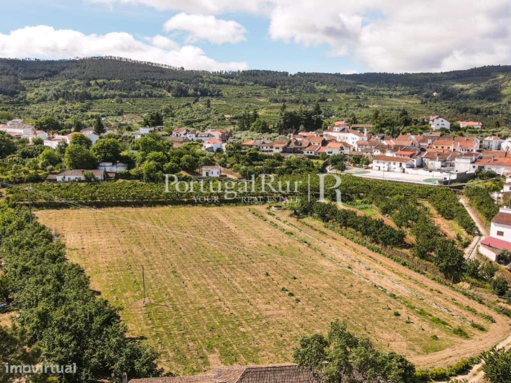 Quinta de 4 ha com 3 casas e cerejeiras no Fundão, ideal para turismo-45