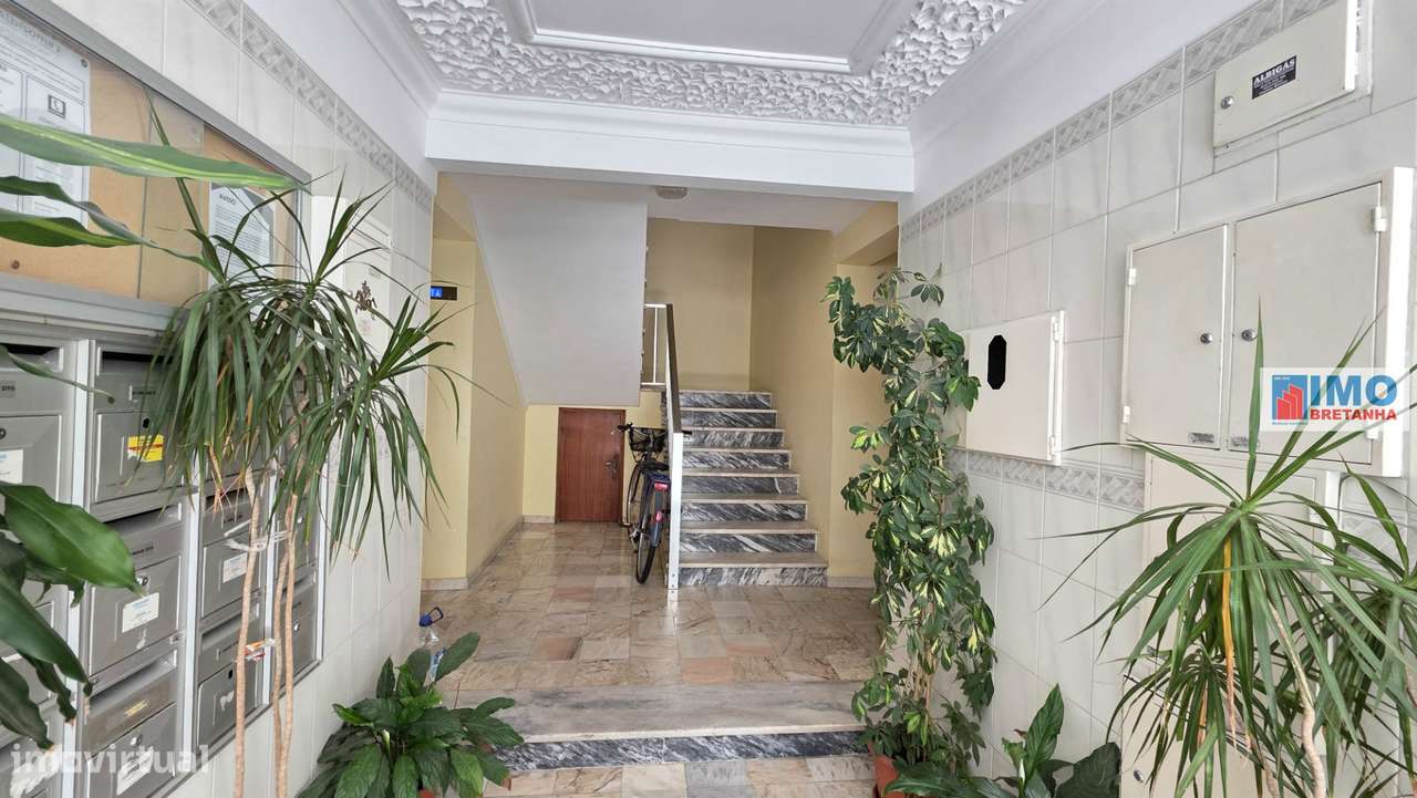T3 - Zona da Sé de Castelo Branco-18