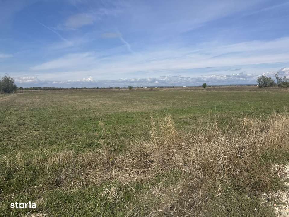 Teren Intravilan com. Ratesti - Imagine principală: 2/4