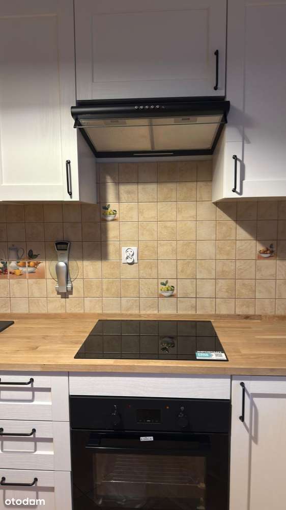 Litewska - Psie Pole - dwupokojowe do wynajecia od zaraz - Pełny obrazek: 4/14