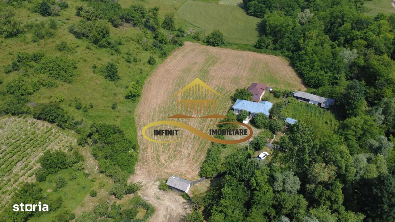 Casa batraneasca cu 2ha de teren de vanzare in sat Balaia / Bacau - Imagine principală: 2/20