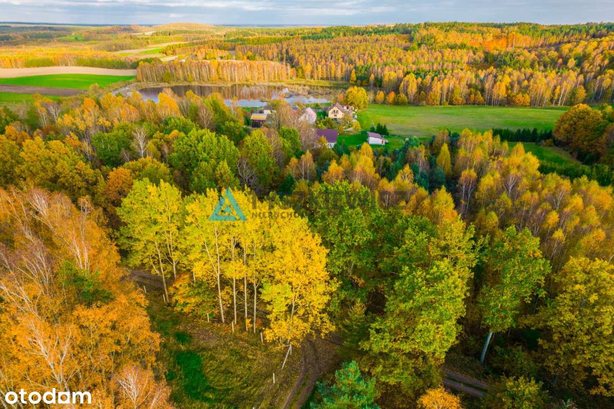 Działka położona w sąsiedztwie lasów i jeziora - Pełny obrazek: 4/15