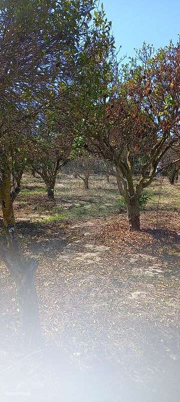 Terreno  para venda - Grande imagem: 2/16