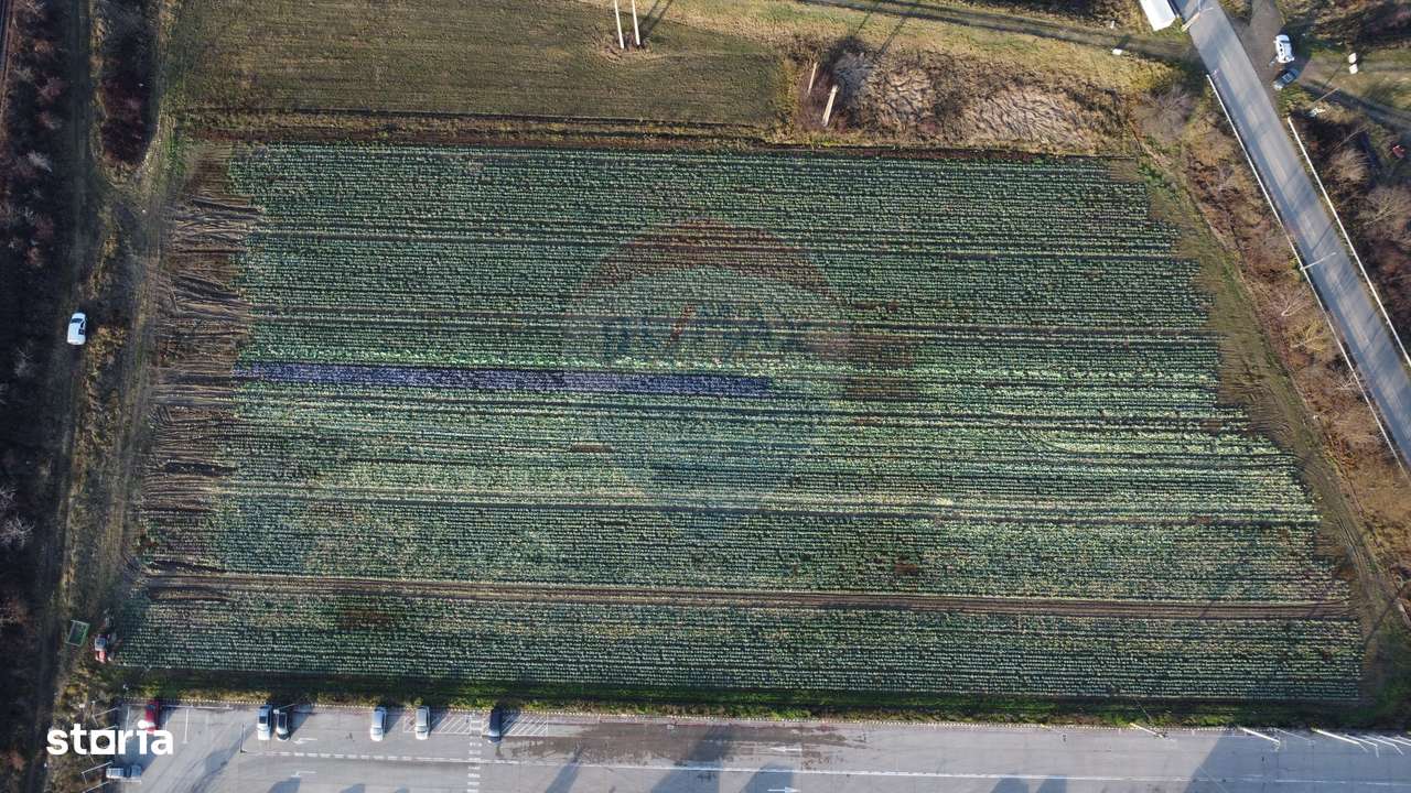 Teren industrial 15.938 MP langa HENKEL cu utlilitati la limita-10