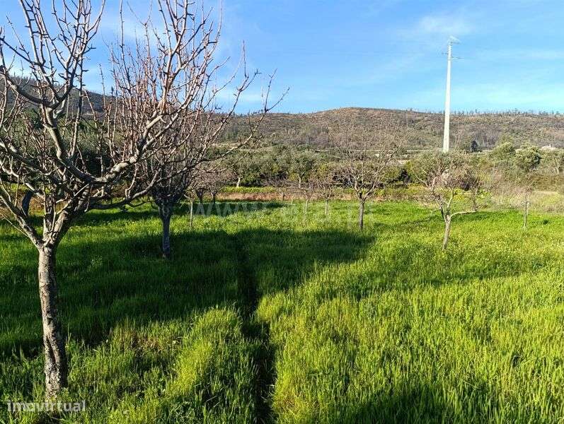 Terreno / Fundão, Monte Leal - Grande imagem: 4/11