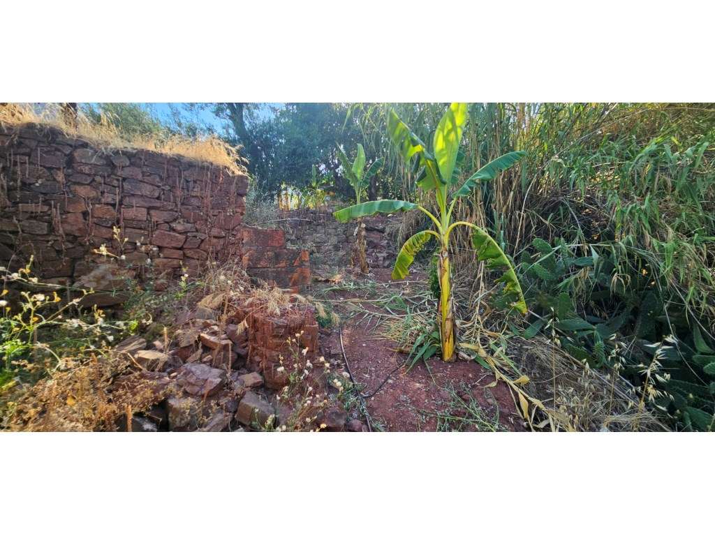 3 Ruinas para recuperar no centro de Santa Catarina, Tavira-20