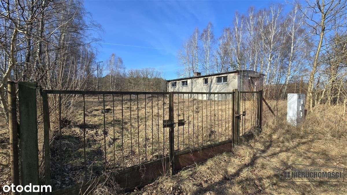 Działka budowlana blisko jeziora i lasu - Nobliny-11