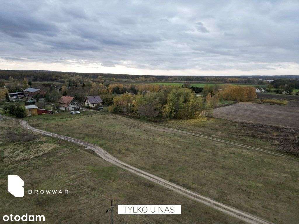 Działki budowlano-rolne Milicz / Dolina Baryczy - Pełny obrazek: 4/9