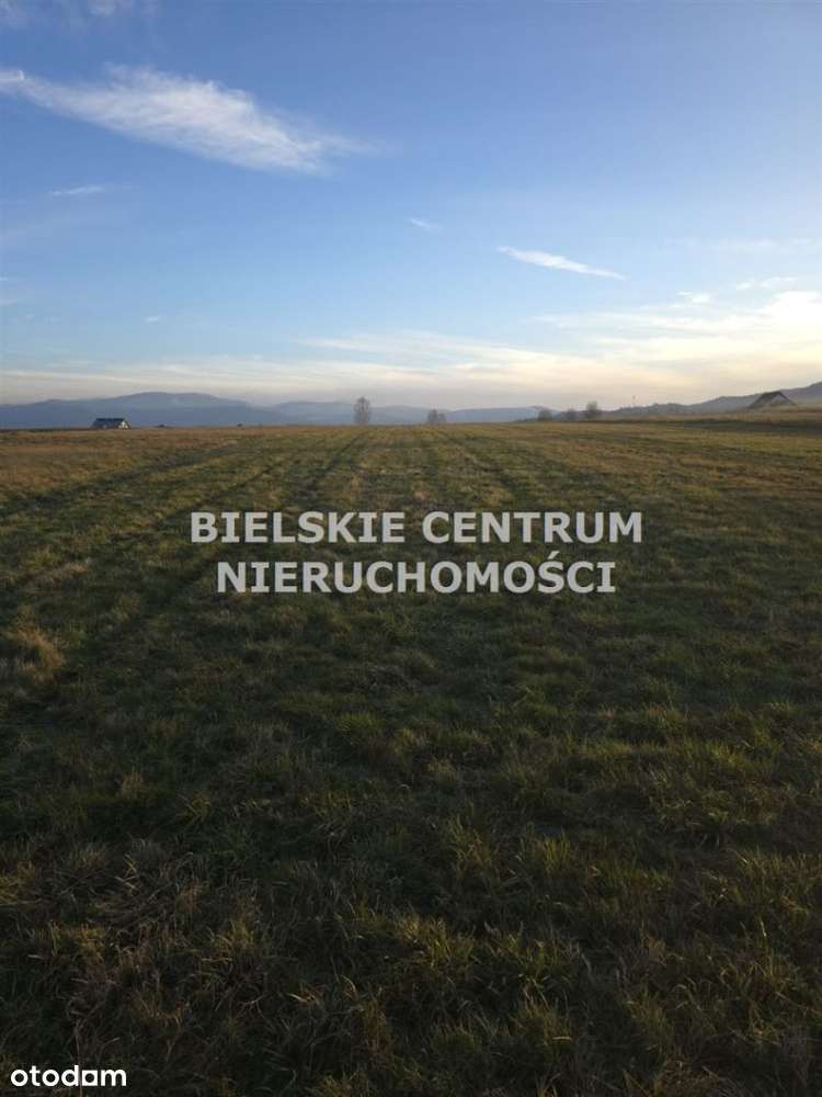 Działka, 10 300 m², Lipowa - Pełny obrazek: 5/16