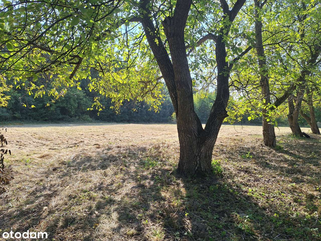 Działka w Chełmie pod zabudowę jednorodzinną - Pełny obrazek: 4/4