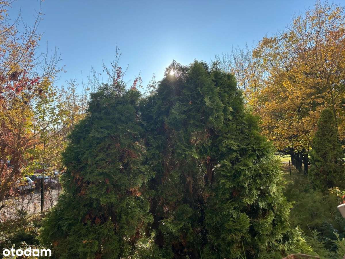 Luksusowe, po generalnym remoncie-wszystko nowe! Zieleń,cisza,URSYNÓW! - Pełny obrazek: 4/20