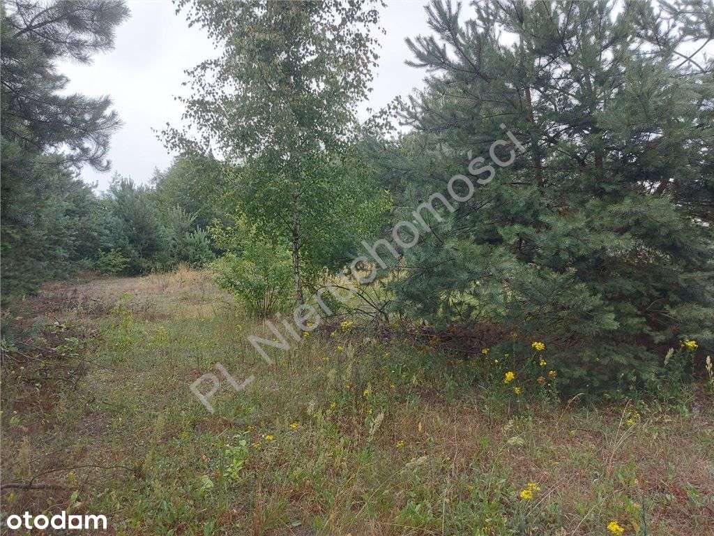 Działka Budowlana W Głuszy Rezerwatu-11