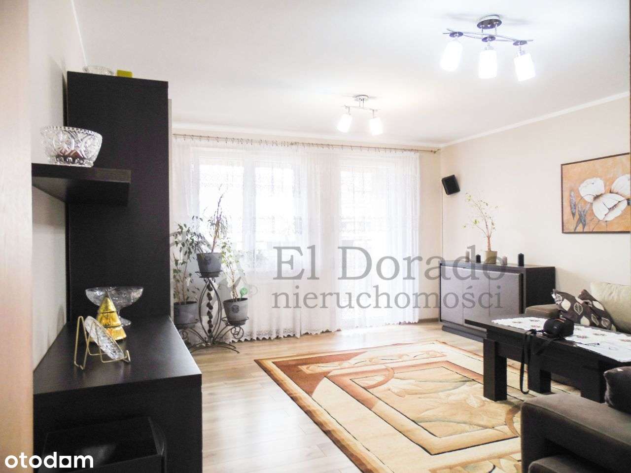 Bezczynszowe mieszkanie 2-pokojowe. - Pełny obrazek: 1/16