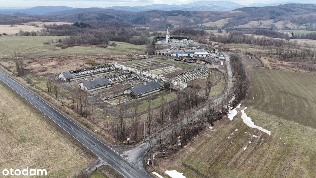Działka, 39 000 m², Dziećmorowice - Pełny obrazek: 5/6