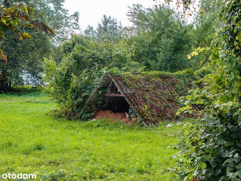 Działka w okolicy Krynek, Ostrów Południowy-10