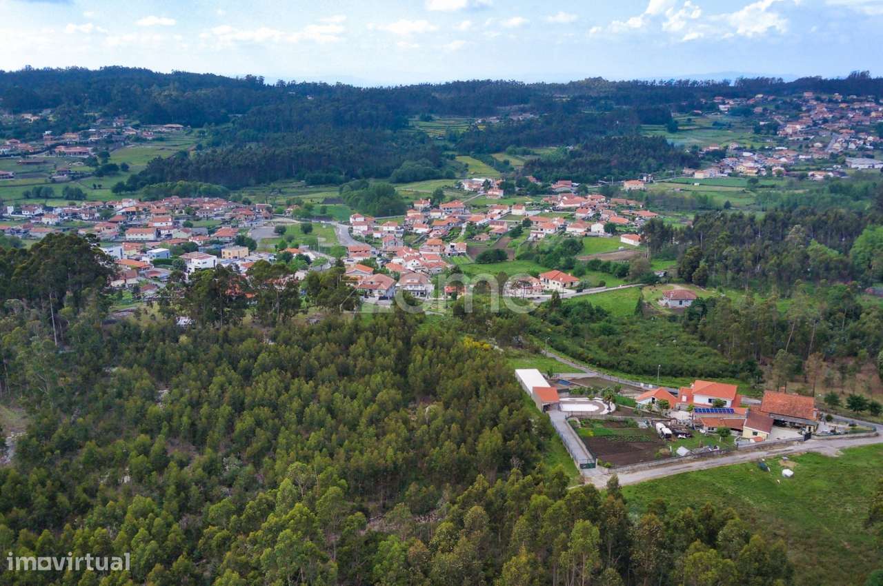 Terreno Rústico de 9.124 m2 em Barreiras - Monte Córdova - Grande imagem: 2/11
