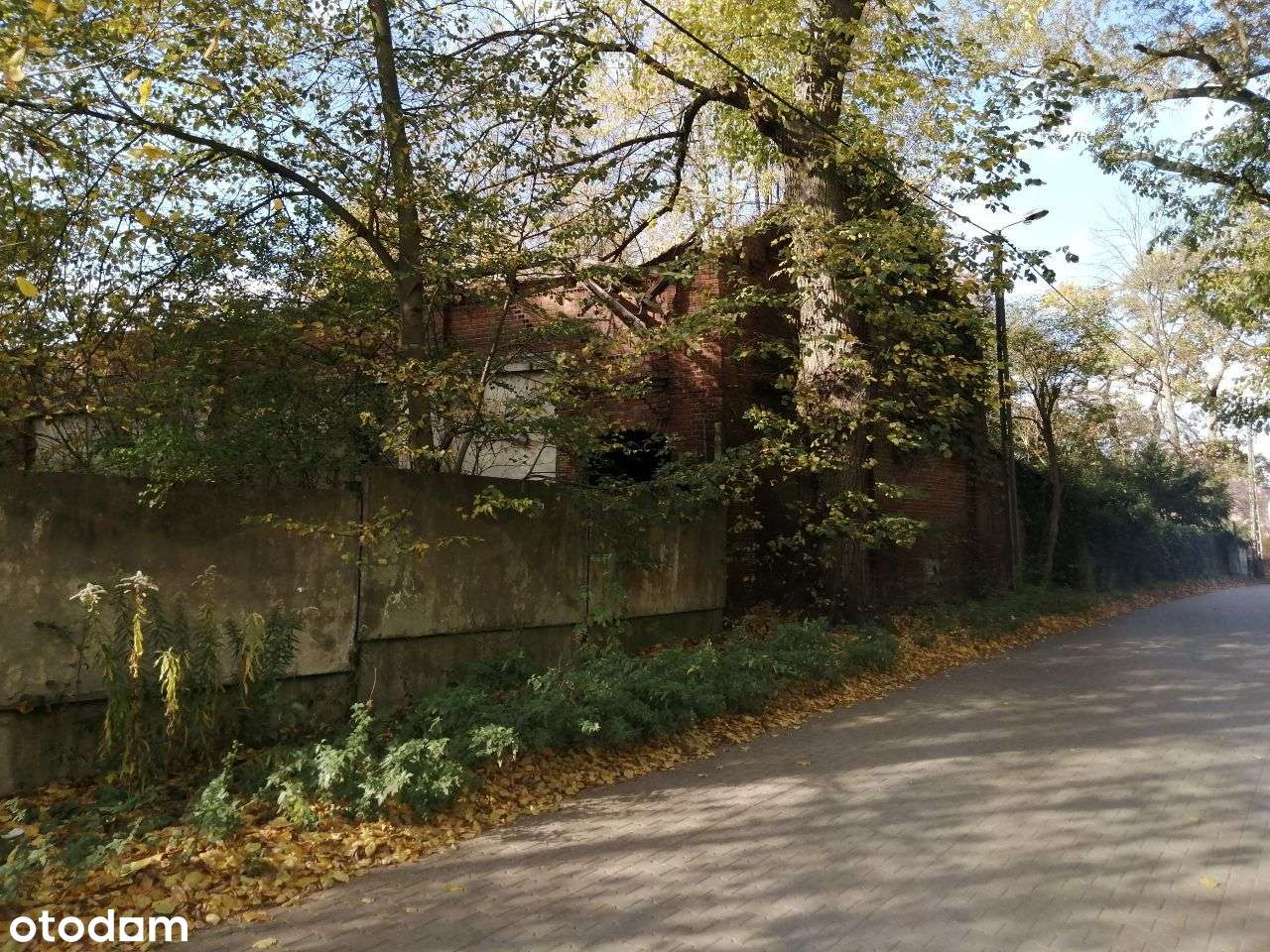 Puszczykowo, przy Warcie-4