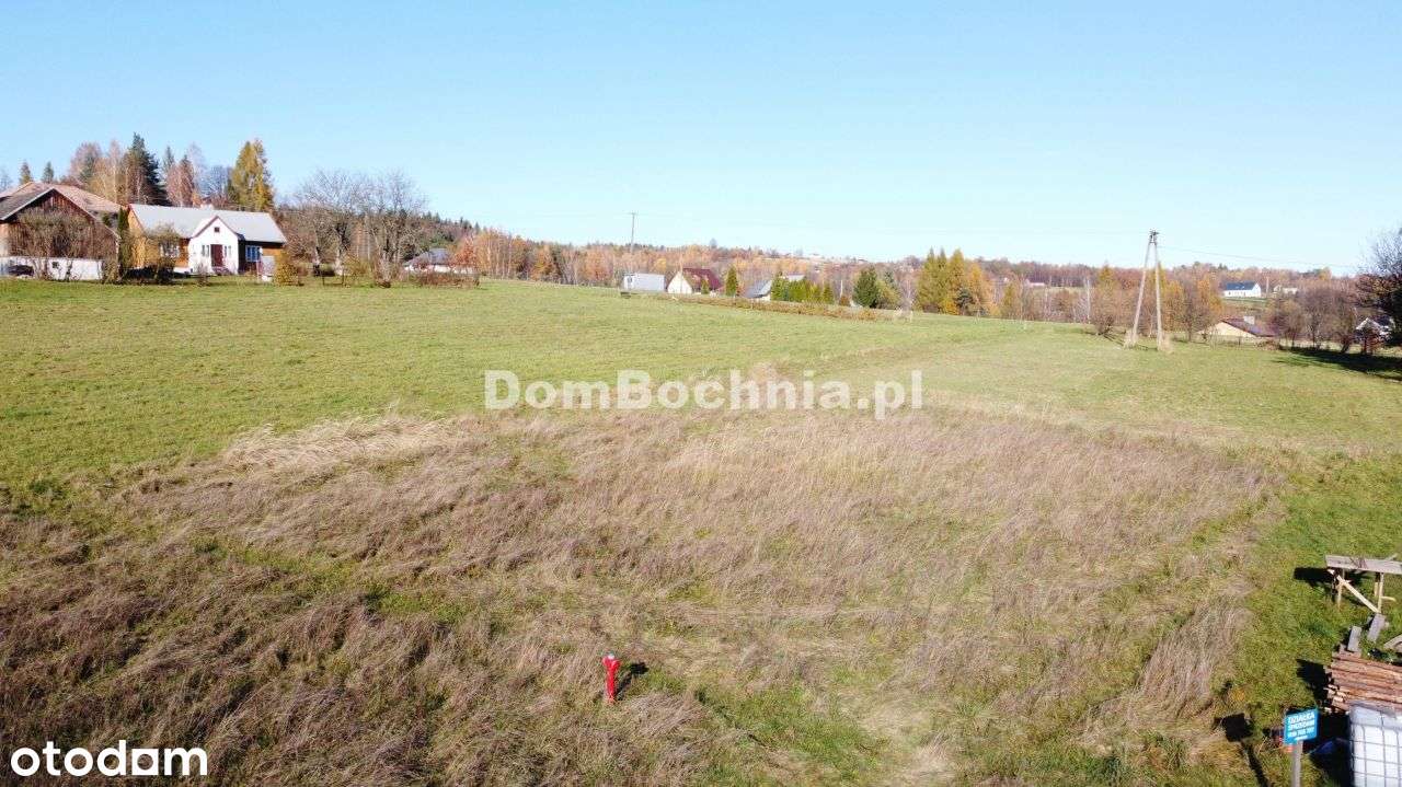 Olchawa działka budowlana z projektem Nowy Wiśnicz-17