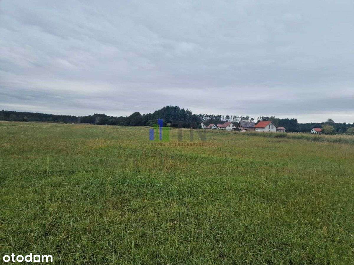 Przy Lesie! - Pełny obrazek: 4/12