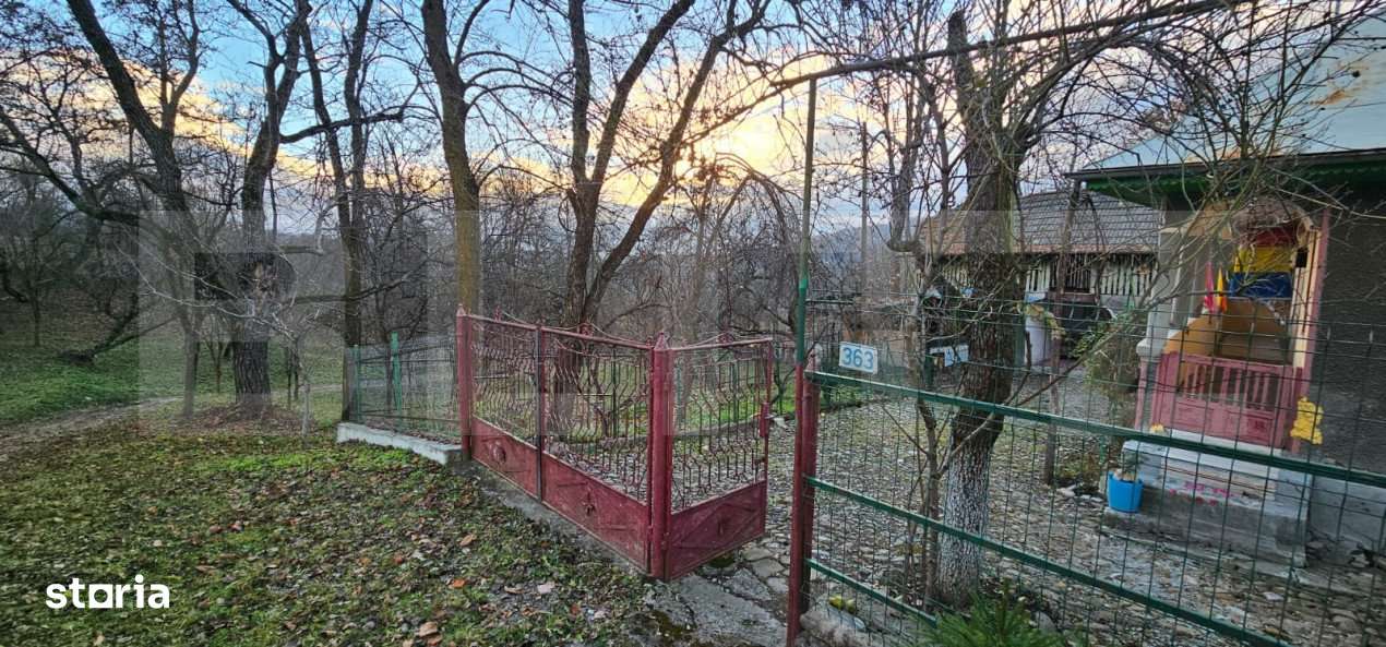 Casa rustica (62mp) in sat Magura cu 1000mp teren si anexe! - Imagine principală: 2/19