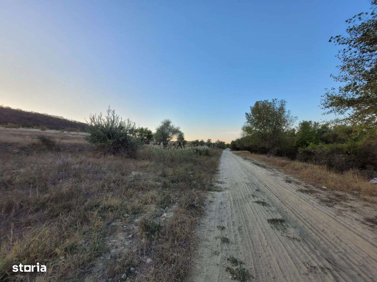 Cenavoda teren 14.000m pășune-5