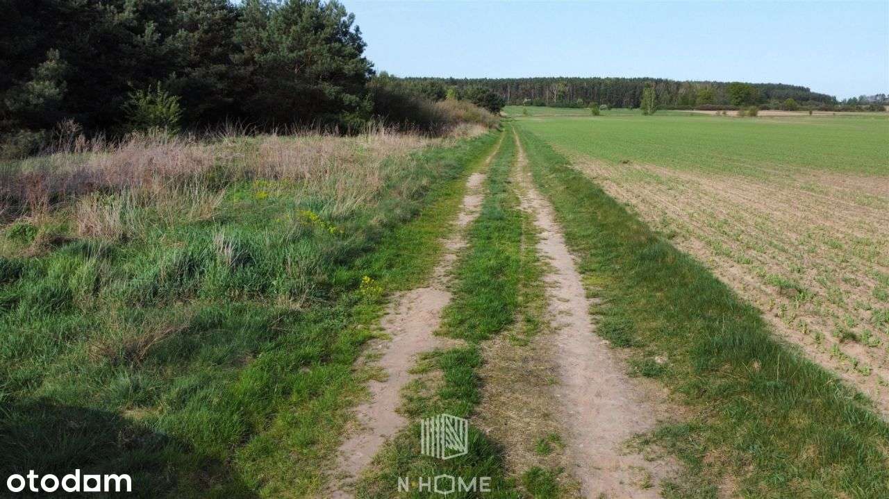 3ha w pobliżu Stobrawskiego Parku Krajobrazowego - Pełny obrazek: 5/11