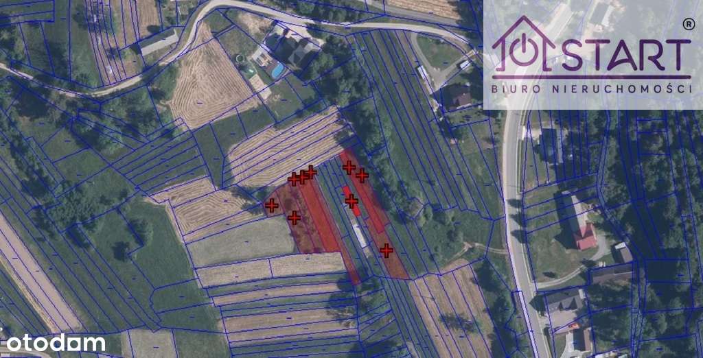 Pakiet działek o pow. 67arów Zubrzyca Górna - Pełny obrazek: 4/5