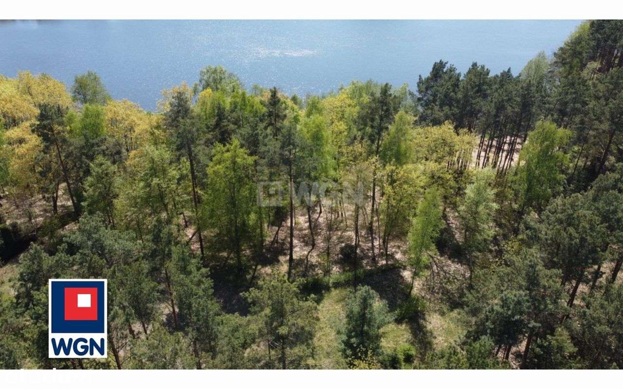 Działka, 6 052 m², Osiek nad Wisłą-7