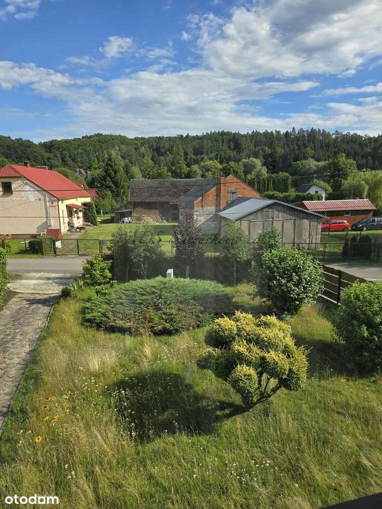 dom z dużą działką-1