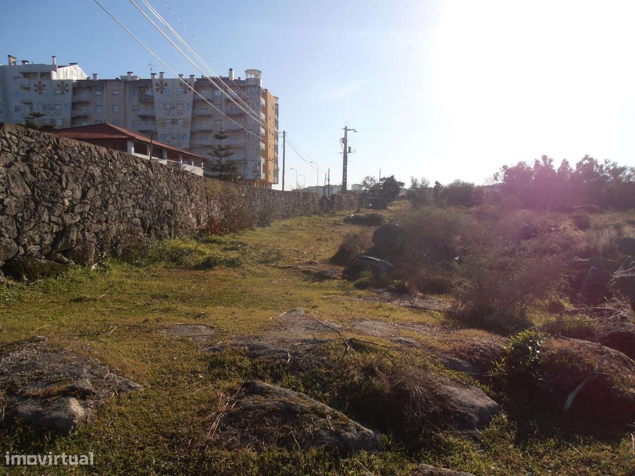Quinta-3