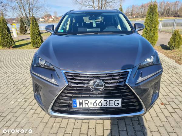 Lexus NX 300 Optimum AWD - 6