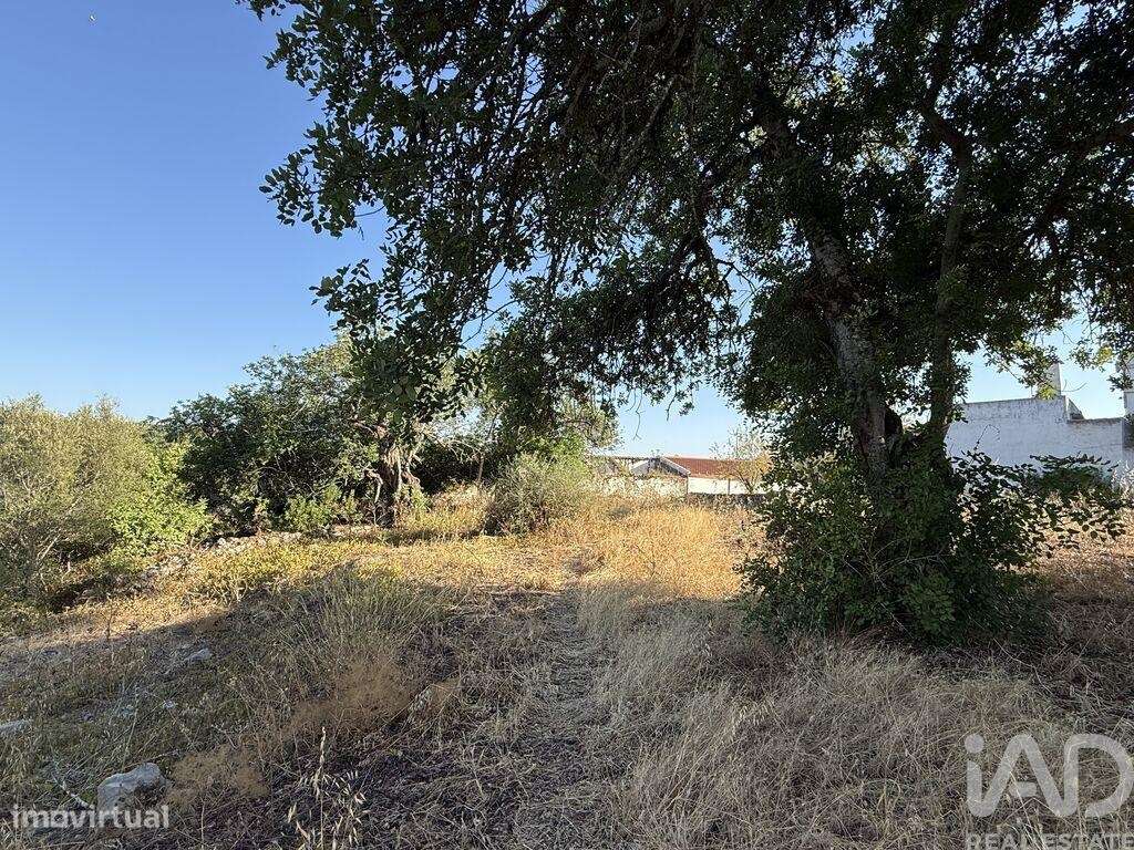 Terreno para construção em Santa Bárbara de Nexe de 3280,00 m2 - Grande imagem: 4/24