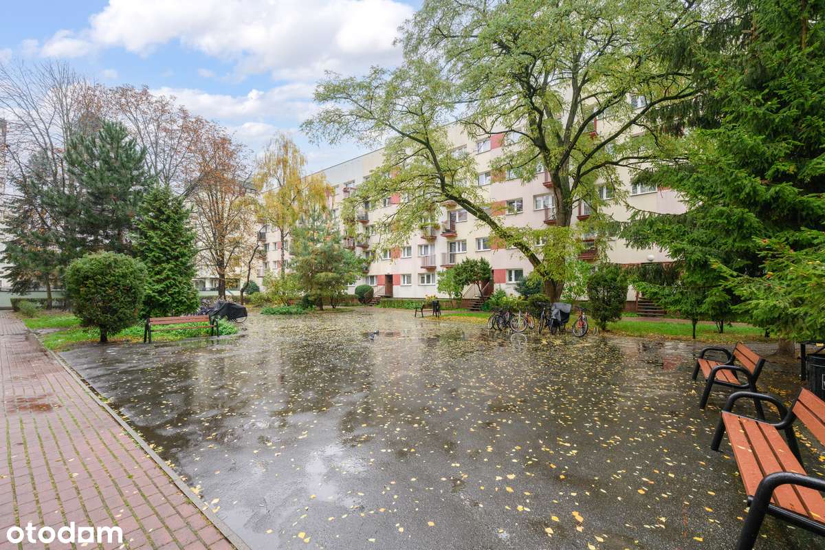 Jasne, ustawne 3 pokoje | Świetny układ i duże możliwości-19