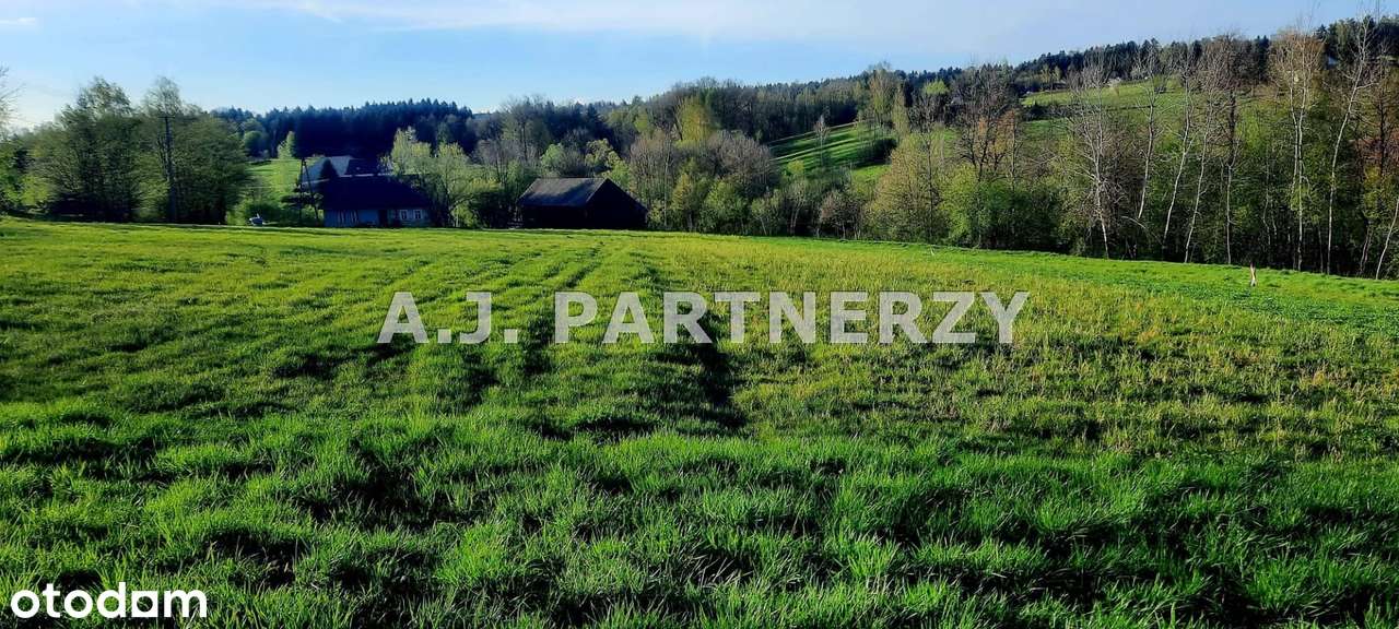 Działka w zielonej okolicy-0