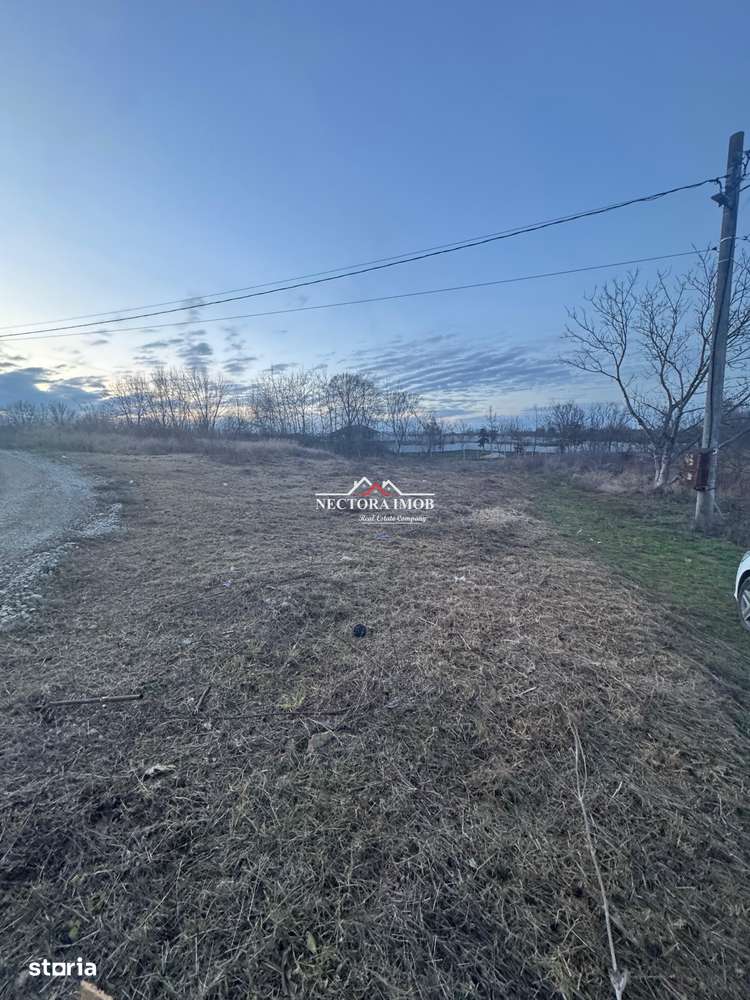 NECTORA IMOB-Teren Intravilan 647 mp, Dublu Front, Paleu, cu Utilitati - Imagine principală: 5/7