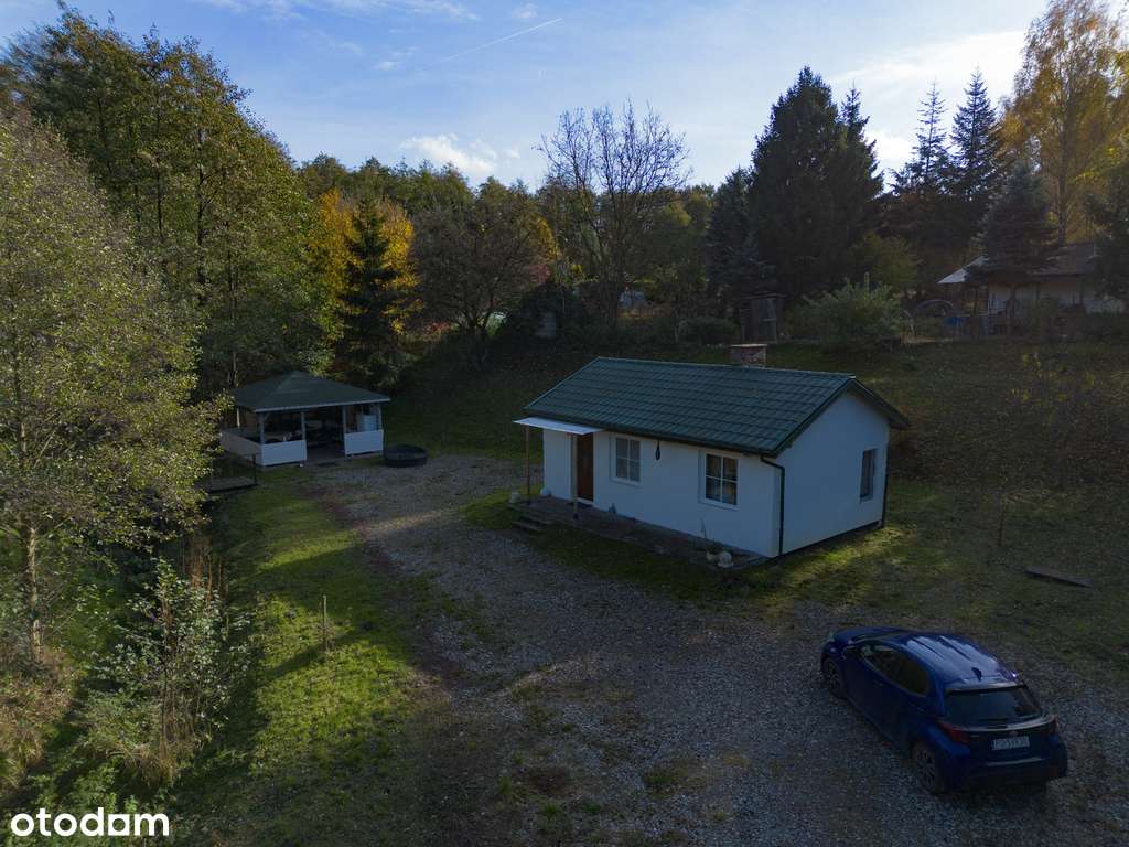 Urokliwe łowisko wędkarskie z domkiem!-5