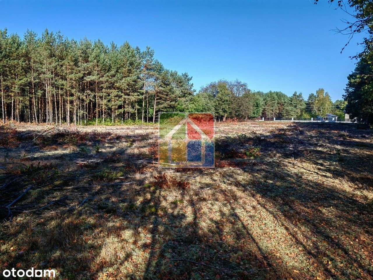 Duża działka pod zabudowę w Parku Krajobrazowym - Pełny obrazek: 4/9