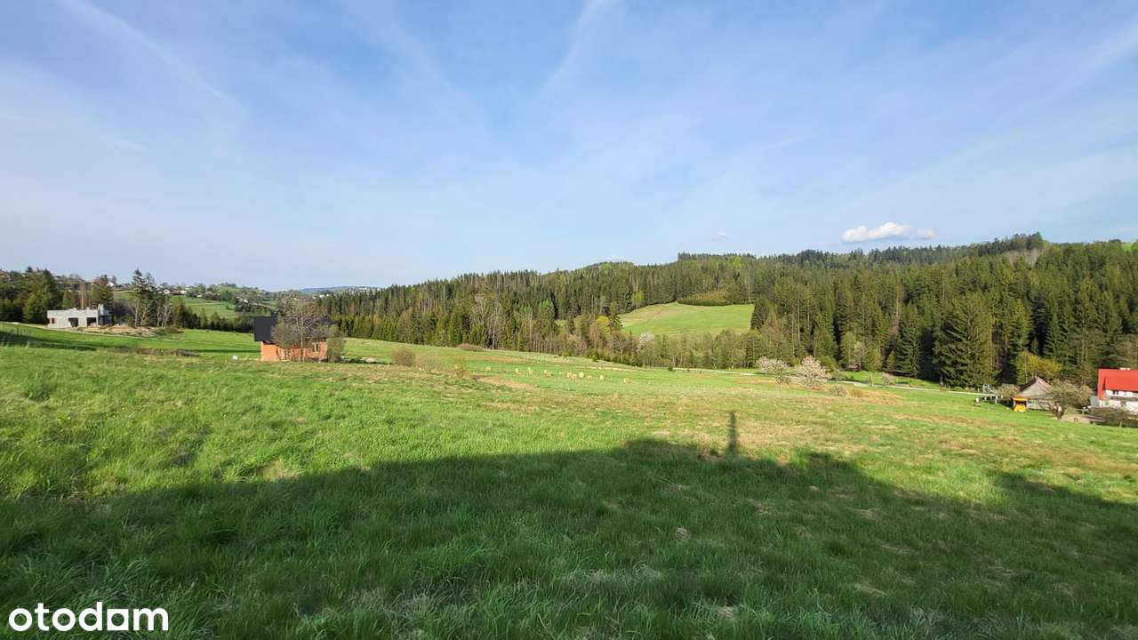 Działka rolno - budowlana, 2600 m2, Jaworzynka - Pełny obrazek: 5/9