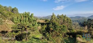 Terreno em Mafra de 5857,00 m2 - Grande imagem: 3/26