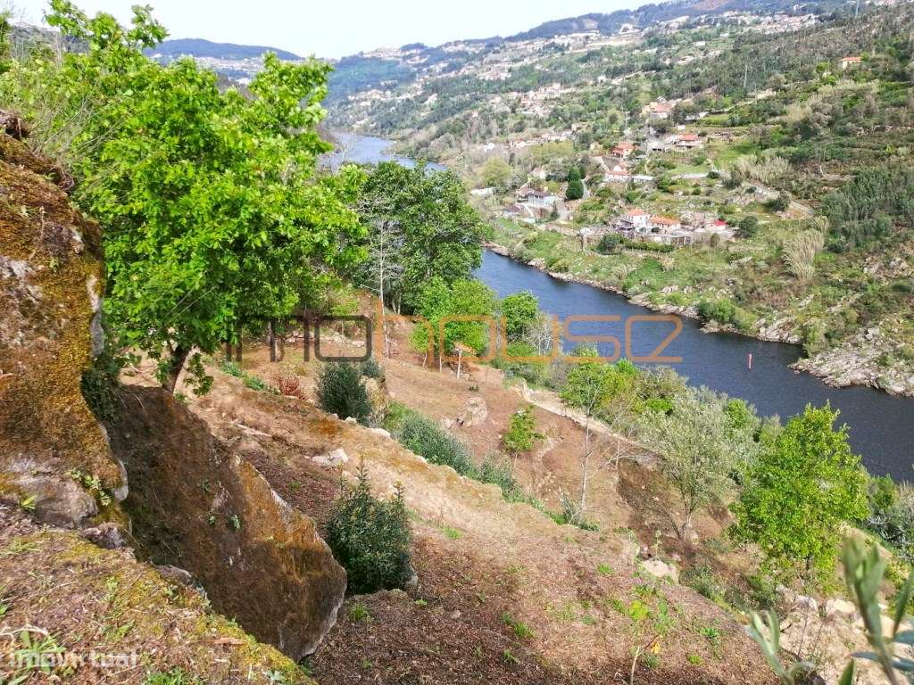 Quinta com frente de Rio Douro-7