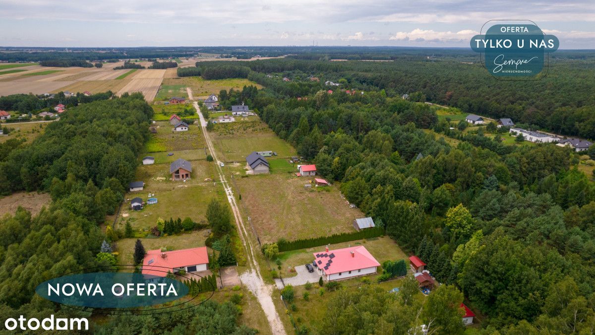 Działka z domem rekreacyjnym w otoczeniu lasu