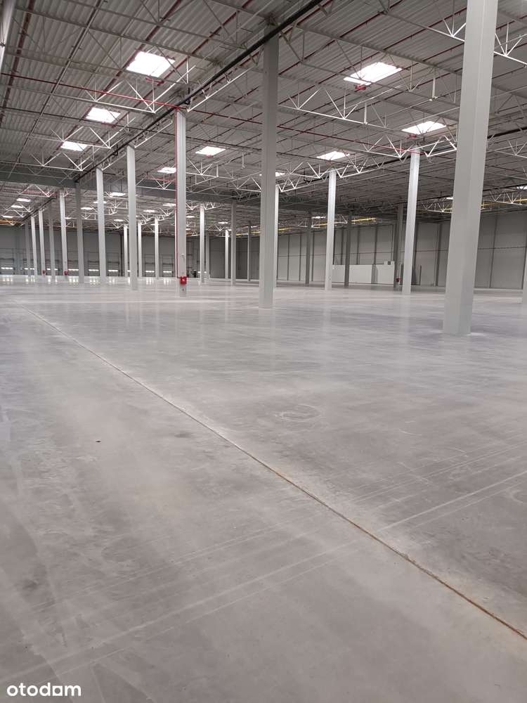 Łódź Teofilów Przemysłowy 20 000 m2 Obiekt Klasy A - Pełny obrazek: 4/4