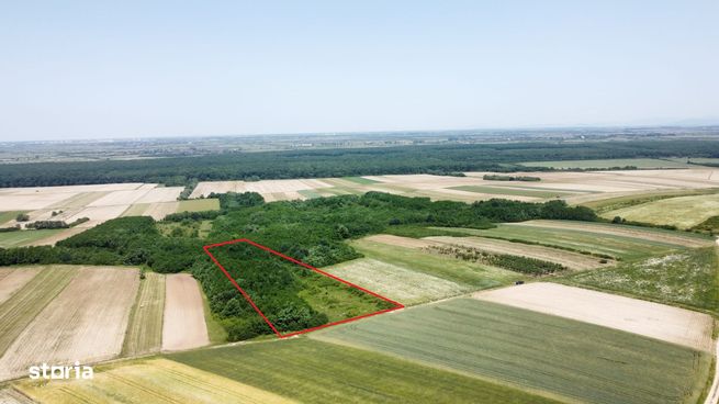 Teren de vanzare - 15.740 mp | Priveliste superba-2