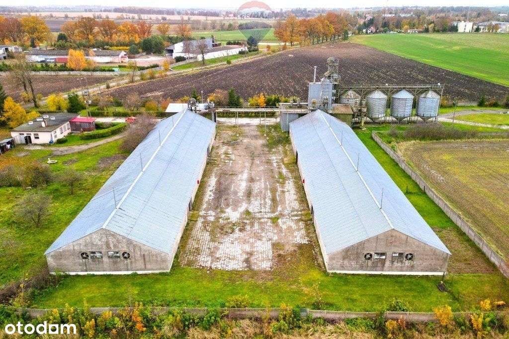 Baza magazynowa, silosy, waga - Barciany - Pełny obrazek: 4/13