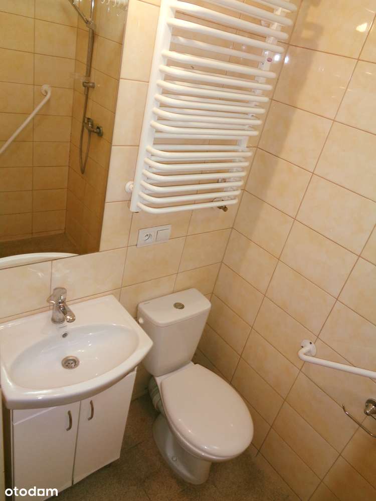 Okolice Ślesina – Dom wolnostojący-19