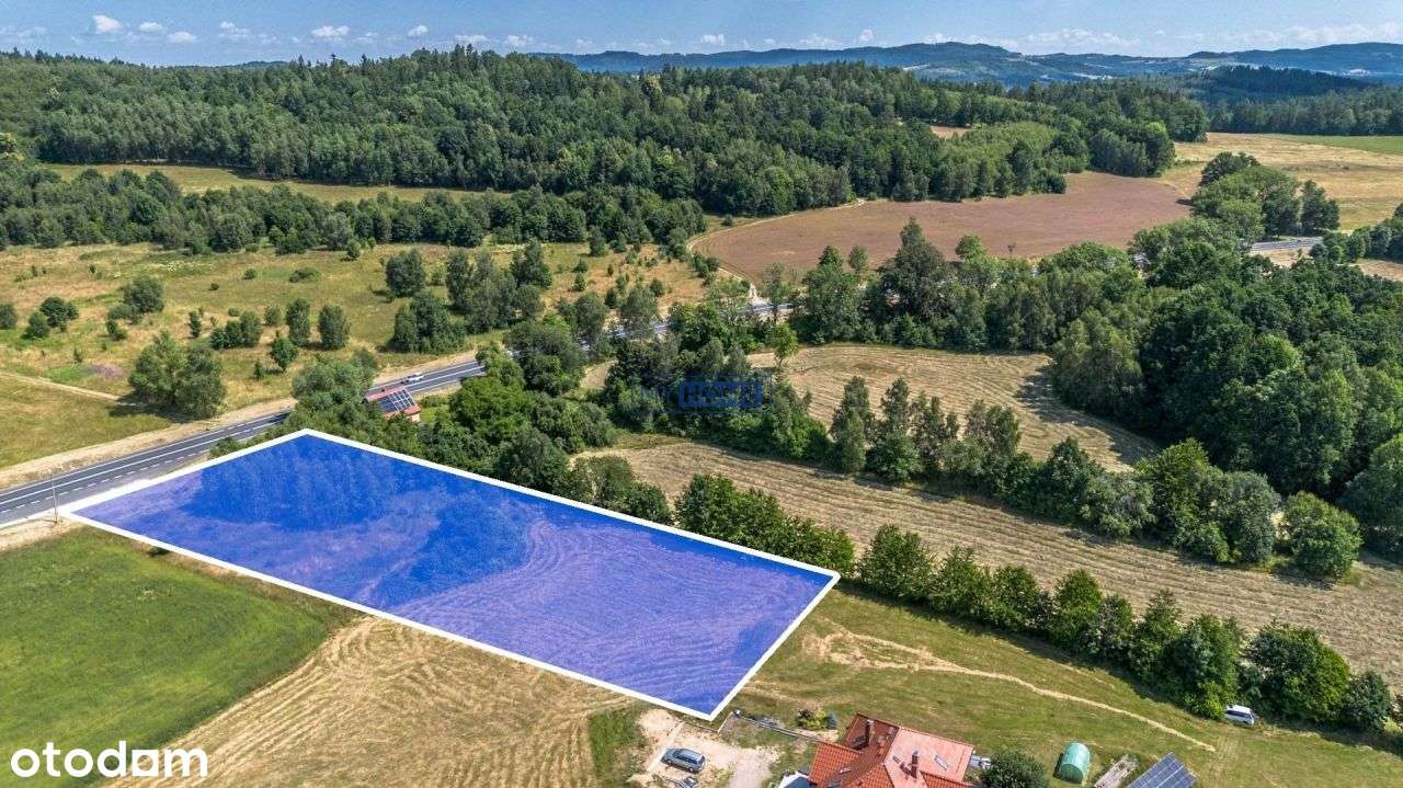 Widokowa działka w Siedlęcinie - Pełny obrazek: 4/6