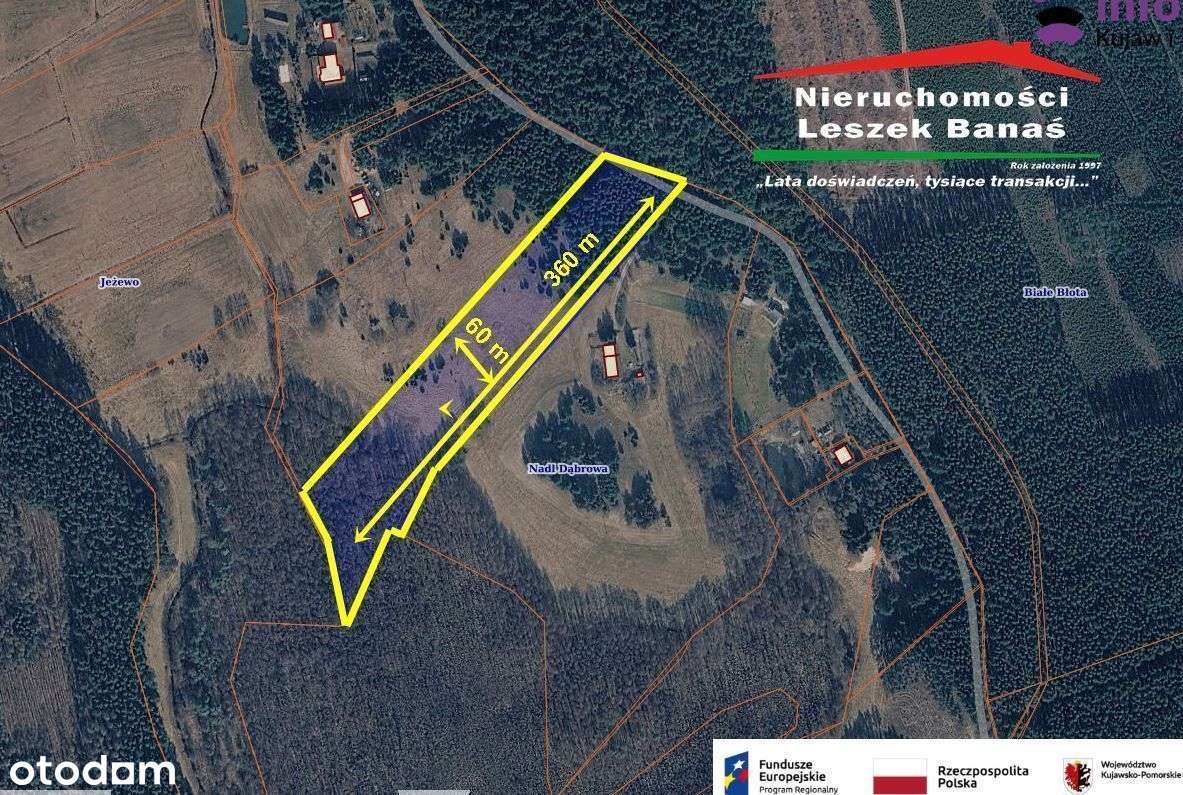 Działka rolna granicząca z lasem-10