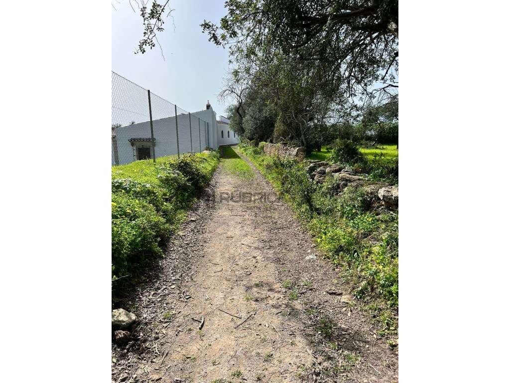 terreno rústico no sitio dos Quartos, Loulé - Grande imagem: 5/11
