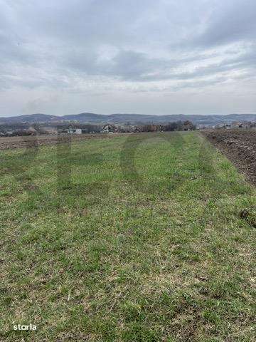 RECO, teren intravilan in Vadu Crisului - Imagine principală: 1/3